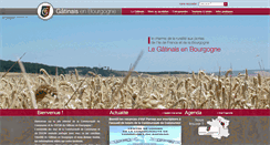 Desktop Screenshot of gatinais-bourgogne.fr