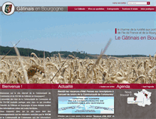 Tablet Screenshot of gatinais-bourgogne.fr